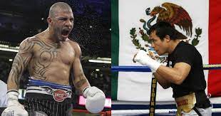 Márquez y Cotto subirán al ring