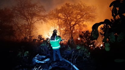 Controlan incendio en la colonia Fuentes del Pedregal