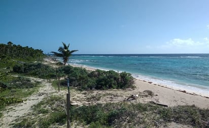 Alertan por riesgo en ecosistemas y vestigios arqueológicos en Tulum