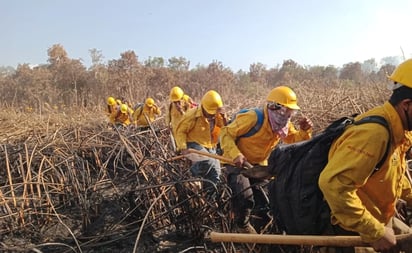 Sofocan incendio en La Encrucijada, Chiapas