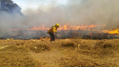 Qué calor: seguiremos con 40 grados en San Buenaventura