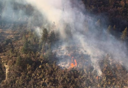 Al 70%, control de incendio en zona de Monterreal en Sierra de Arteaga: La superficie afectada es de 3 hectáreas de arbolado adulto y matorral submontano