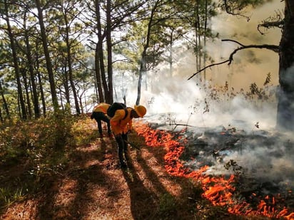 Aplicará estado medidas preventivas de incendios