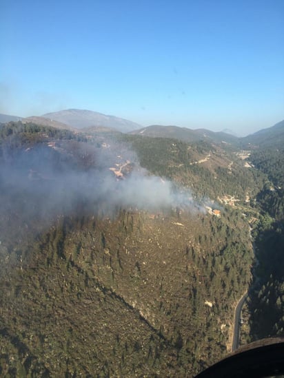 Controlan incendio en sierra de Arteaga: SMA 