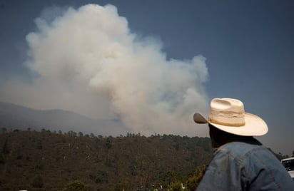 Responsables del incendio de Arteaga no han sido llamados