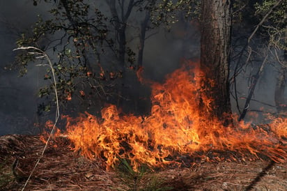 Por calor continuarían incendios en Coahuila