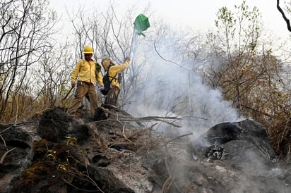 Controlan incendio en cerro de Tepoztlán; resta 10% de liquidación: Se reporta una afectación de 350 hectáreas en ecosistema de pino