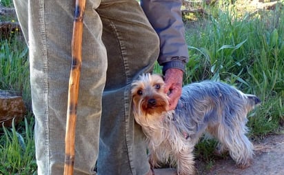 Abuelo derrama amor en redes sociales por traer a su perrito a todos lados