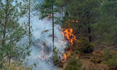 Se registra nuevo incendio en el sur de Nuevo León