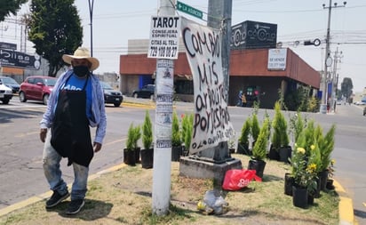 Tras pandemia, Don José Luis cambia árboles y plantas por despensa