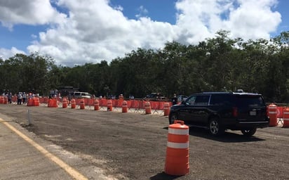 AMLO asegura que Sembrando Vida y Tren Maya cuidan medio ambiente