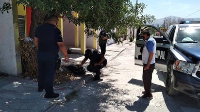 Reporte de olores fétidos en Monclova moviliza a unidades policíacas