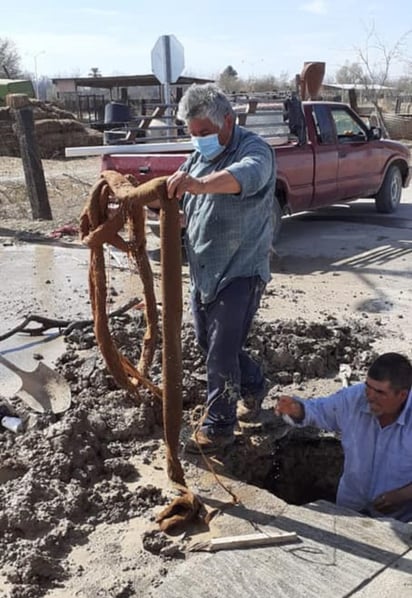 En presunta represalia, ponen a trabajar a adultos mayores en Abasolo