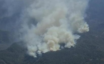 Por incendios, afectadas más de 6 mil hectáreas en SLP