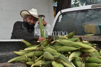 Con venta de elotes y verduras en San Buenaventura, le alcanza para vivir durante 22 años