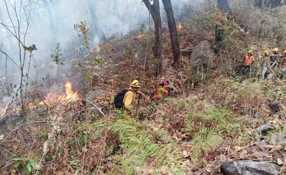 Brigadas combaten incendios en 11 puntos de Guerrero