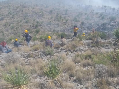 Consume fuego 200 hectáreas de pastizales