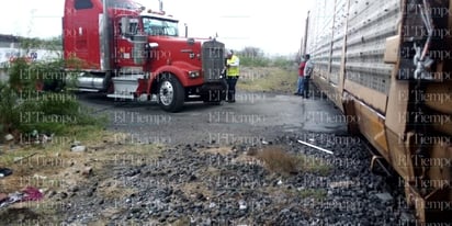 Intenta ganarle el paso al tren en Castaños