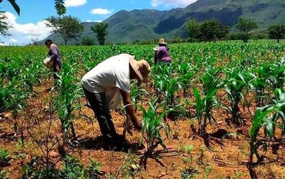 Acusa México de abusos a agricultores en los EU