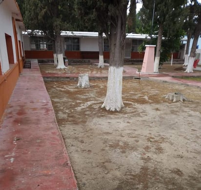 Alistan primaria Venustiano Carranza de Lamadrid para clases semipresenciales