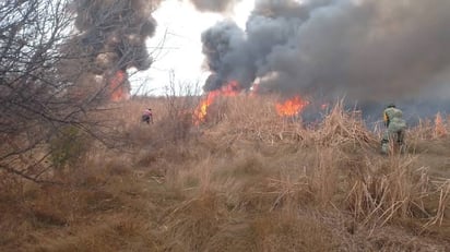 Las lluvias impedirá que pastizales se incendien 