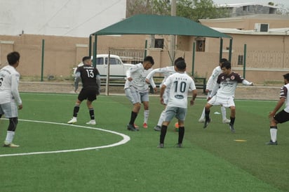 Halcones y Tigres quedan empatados