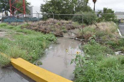 Sin casos de dengue en la Región Centro