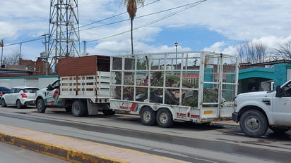 Más de 25 escuelas en Frontera ya han sido limpiadas para el próximo proceso electoral