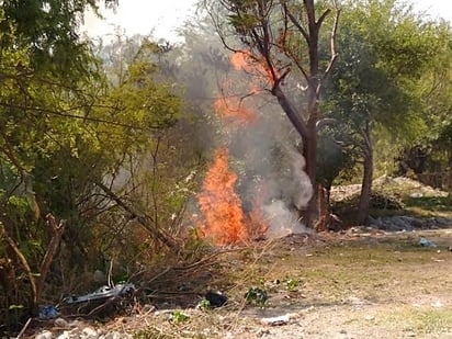  Bajan los incendios en Frontera un 80%