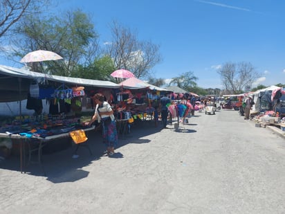 ‘Pulgas’ de Monclova y la región sin clientes  por el calcinante sol