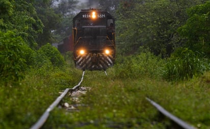 Asamblea maya exige suspender definitivamente proyecto del Tren Maya