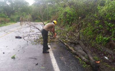 Reportan saldo blanco en Jalisco tras paso de 'Enrique'