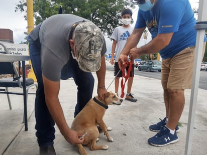 Realizan campaña de vacunación antirrábica en Nadadores