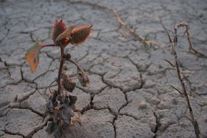 La ONU denuncia que un 25% de la población mundial sigue sin agua potable