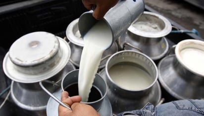 La producción de leche de vaca en Durango crece a buen ritmo