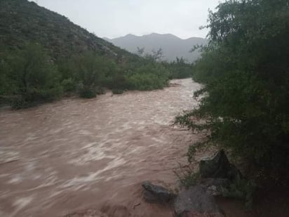 Lluvias benefician los cultivos del campo en Castaños