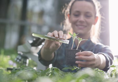 Fondo Verde acredita al IICA para impulsar proyectos de resiliencia agrícola