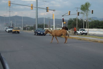 Entrarán en funciones inspectores rurales 