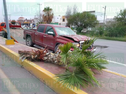 Camioneta derriba palma en la carretera 57 de Monclova 