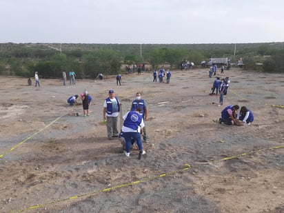 Trabajadores municipales se suman a la siembra de árboles 