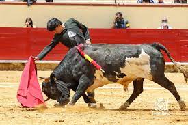 Mexicanos José Mauricio y Joselito Adame salen en hombros en Texcoco