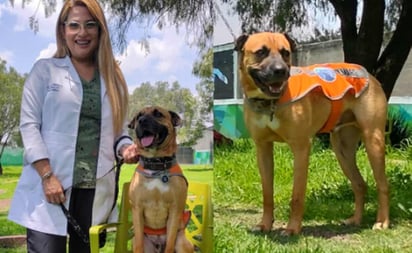 Elmar, perrito rescatado en Metro y ahora ayuda a niños especiales