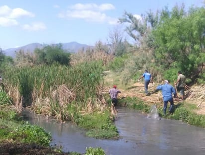 Ecología atiende reportes de la ciudadanía de San Buenaventura 