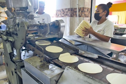 La tortilla tendrá un inminente ajuste en el precio