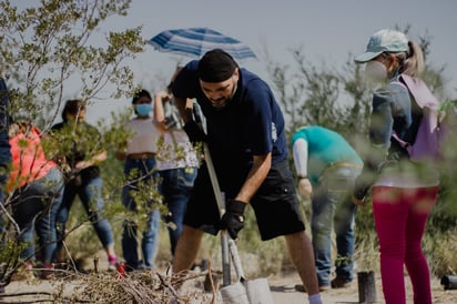 Excelente respuesta a la reforestación de Eco Parque Monclova