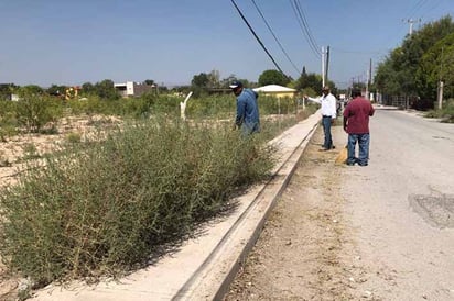 Ecología municipal atiene reporte de ciudadanos 