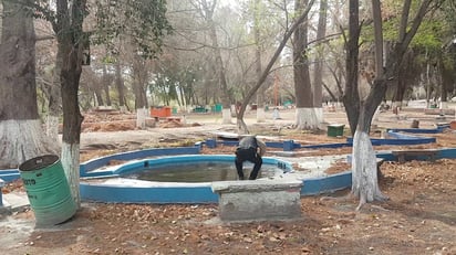 El Parque La Mota de Ocampo es reabierto a los turistas