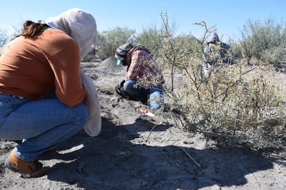 Reconoce gobierno de Coahuila defensoras de Derechos Humanos