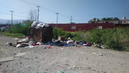 Las ratas invaden arroyo en la colonia Mezquital en Monclova