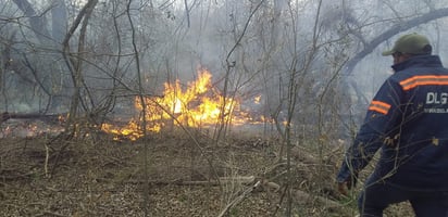 Reforestarán con 300 plantas de mezquite área incendiada en Nadadores